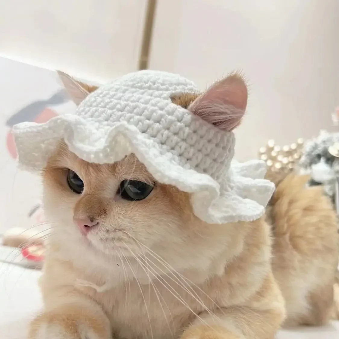 Cute Frog Cat Hat with Bunny Ears for Fun Costumes - Smarsty