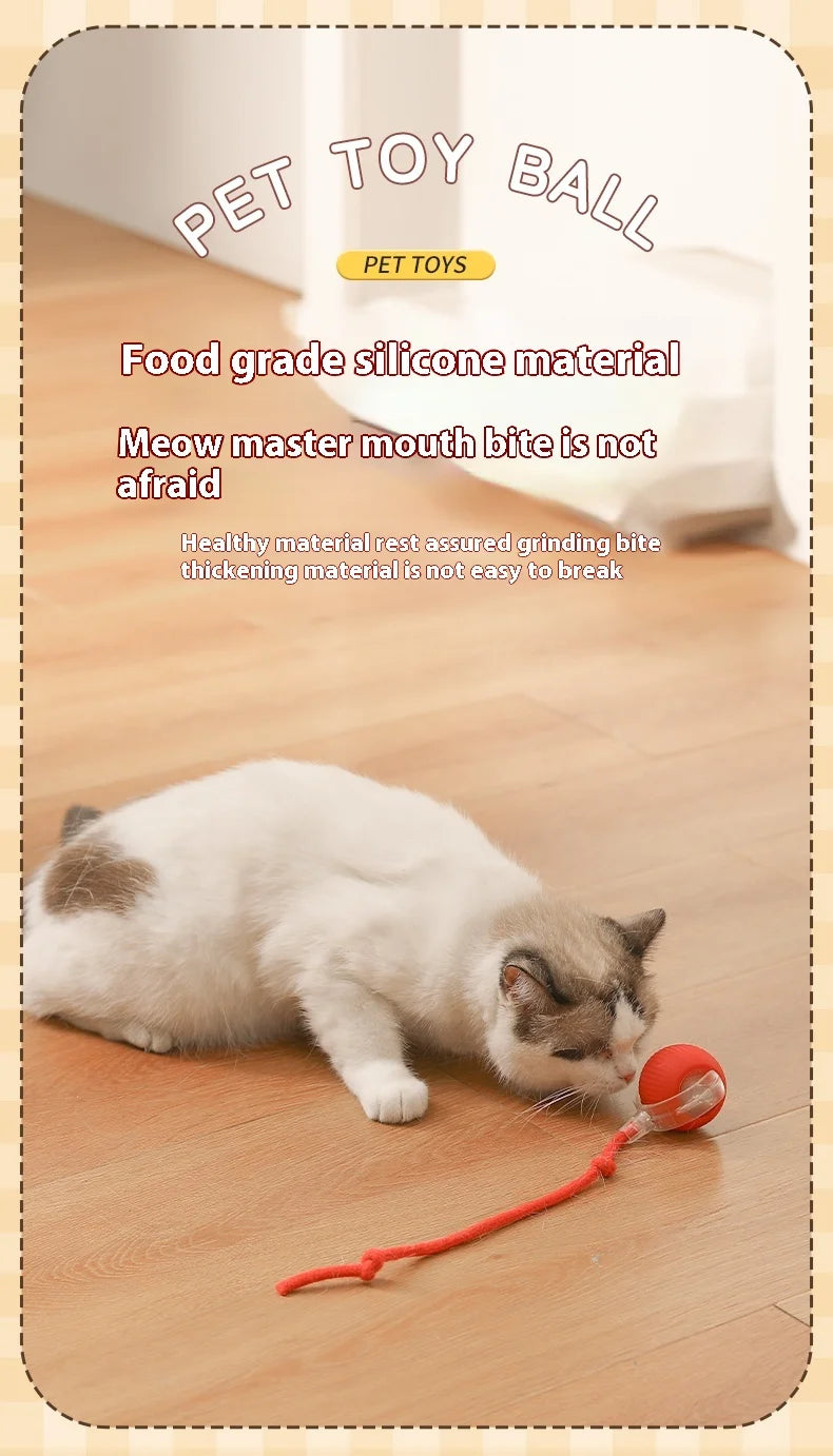 Rechargeable Cat Interactive Ball Toy With Faux Tail - Smarsty