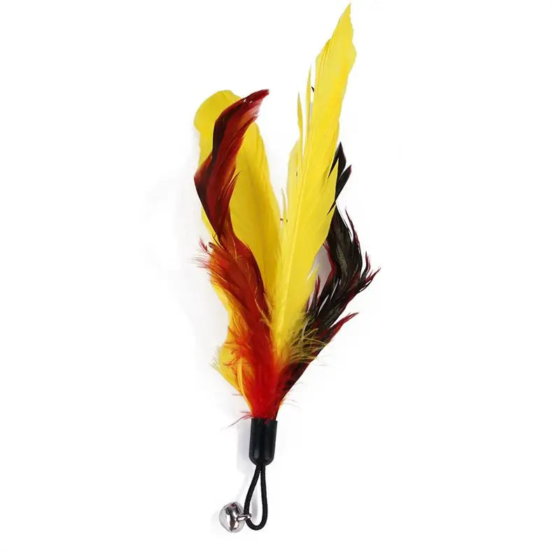 11pcs Replacement Cat Feather Toy Set Feather Replacement Head Retractable Cat Stick Cat Products - Smarsty