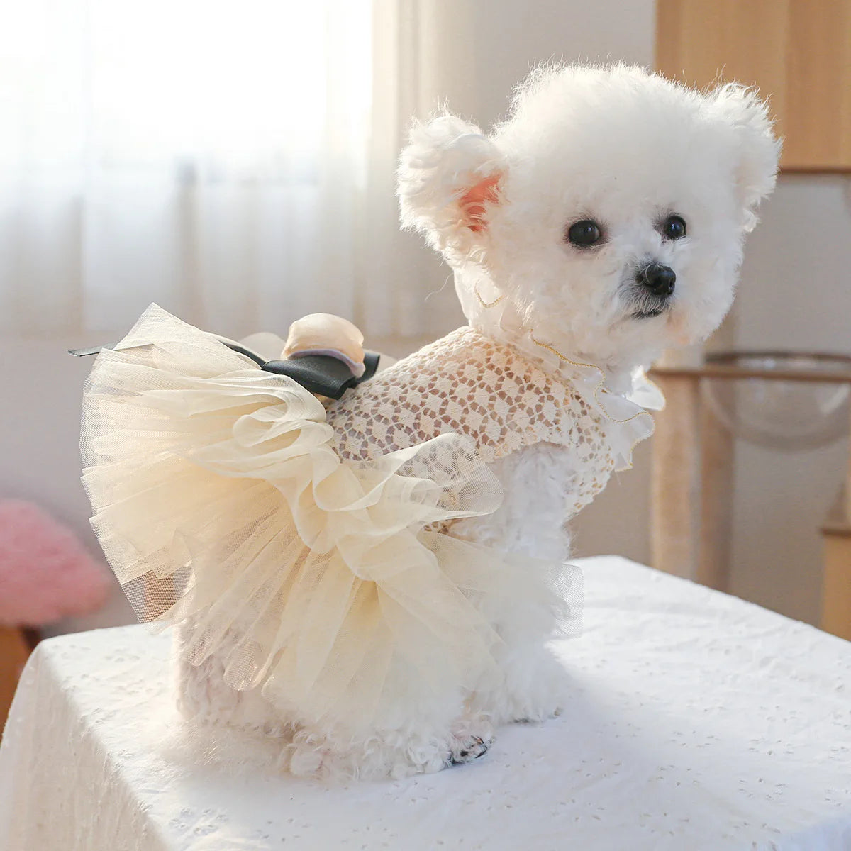 Luxury Kawaii Dog Dress with Pearl Collar for Small Pets - Smarsty