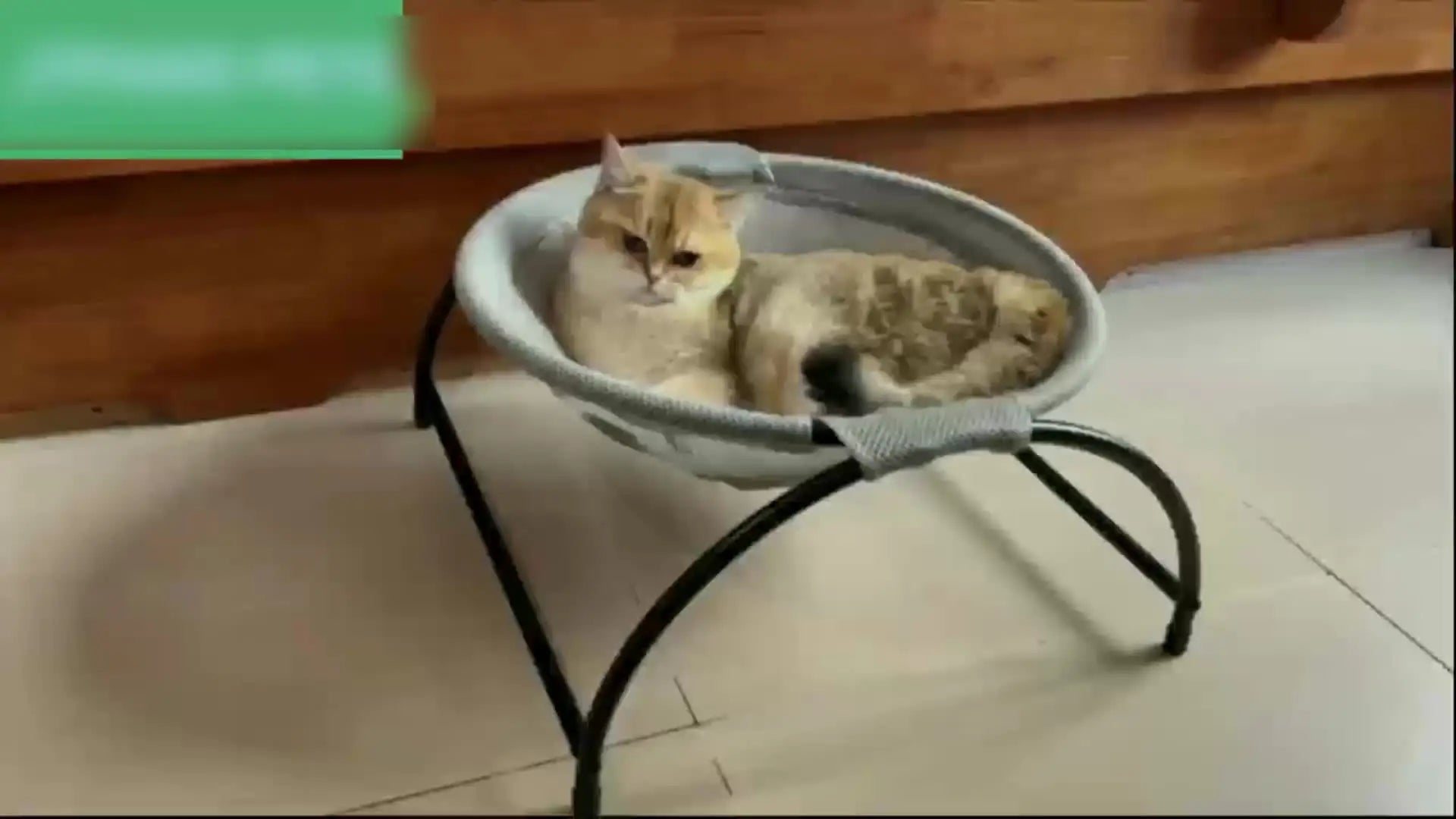 Breathable Cat Hammock Bed for Comfortable Sleeping - Smarsty