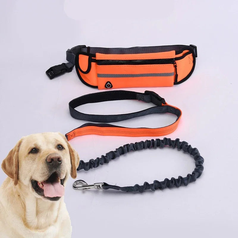 Hands Free Dog Leash with Reflective Elastic Belt - Smarsty