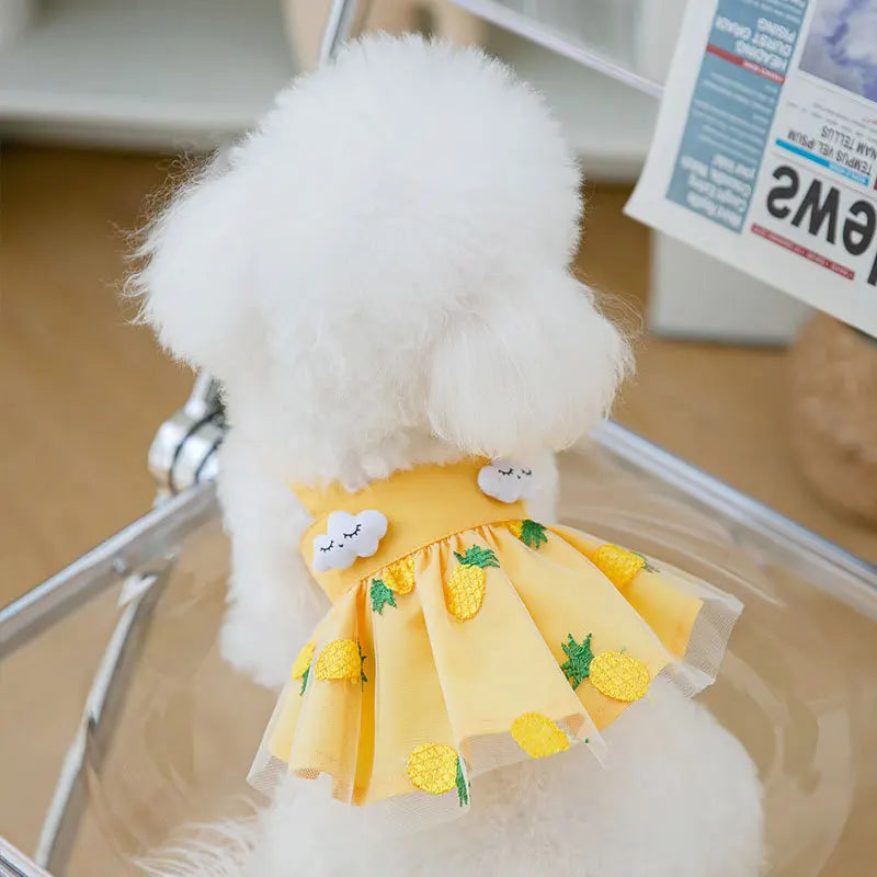 Cute Summer Dog Princess Dress with Bow Lace - Smarsty