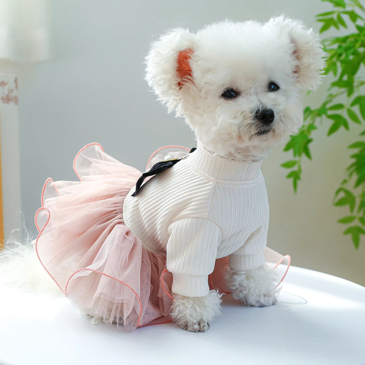 Spring Summer Tutu Dress for Dogs and Cats - Smarsty