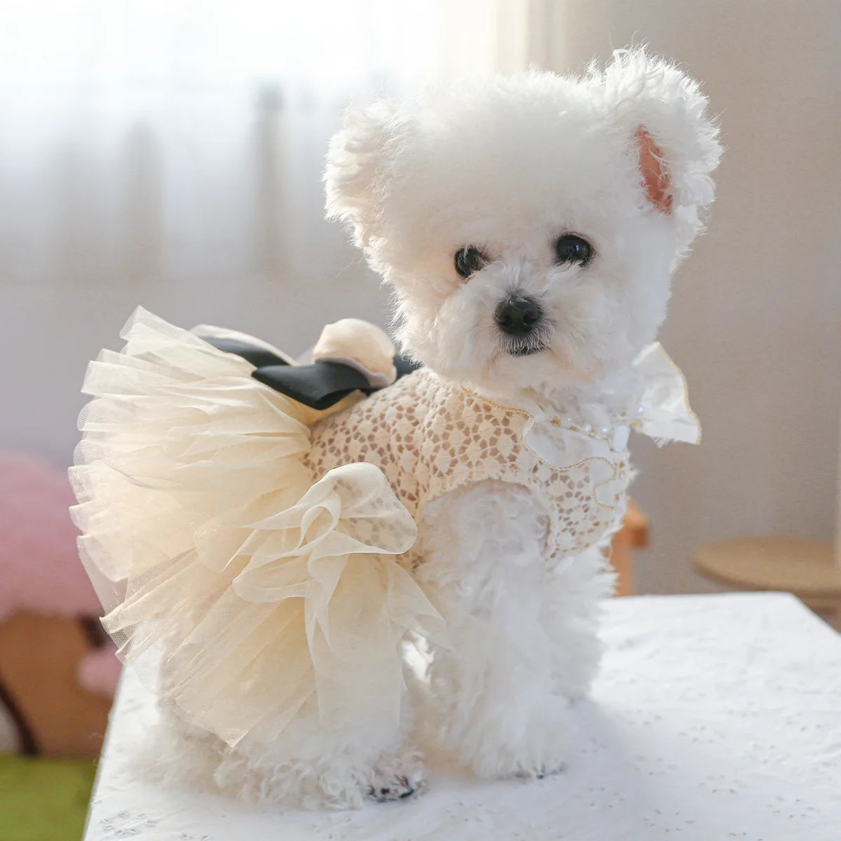 Luxury Kawaii Dog Dress with Pearl Collar for Small Pets - Smarsty