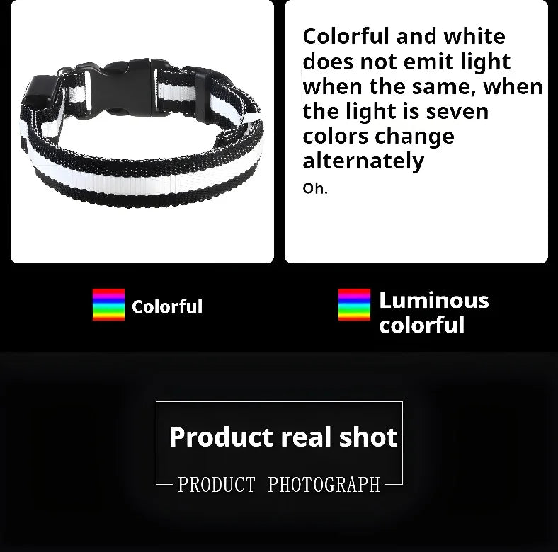 LED Nylon Dog Collar for Night Safety and Visibility - Smarsty