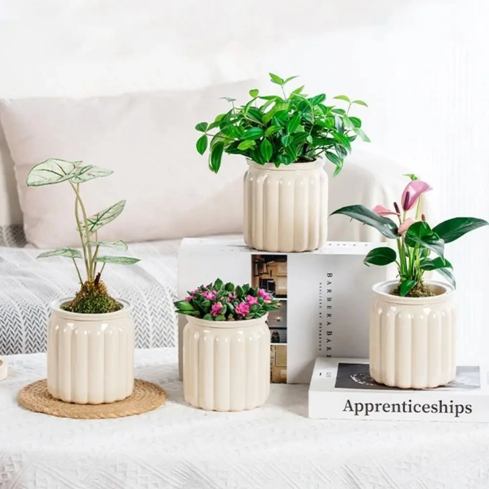 New Self Watering Hydroponic Plants Pot Plastic Removable Mini Succulent Planter Tabletop Vase Office Bonsai Decor
