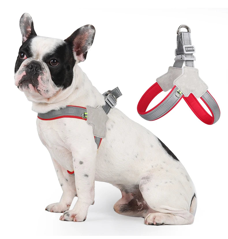 Reflective No Pull Dog Harness for Small Dogs - Smarsty