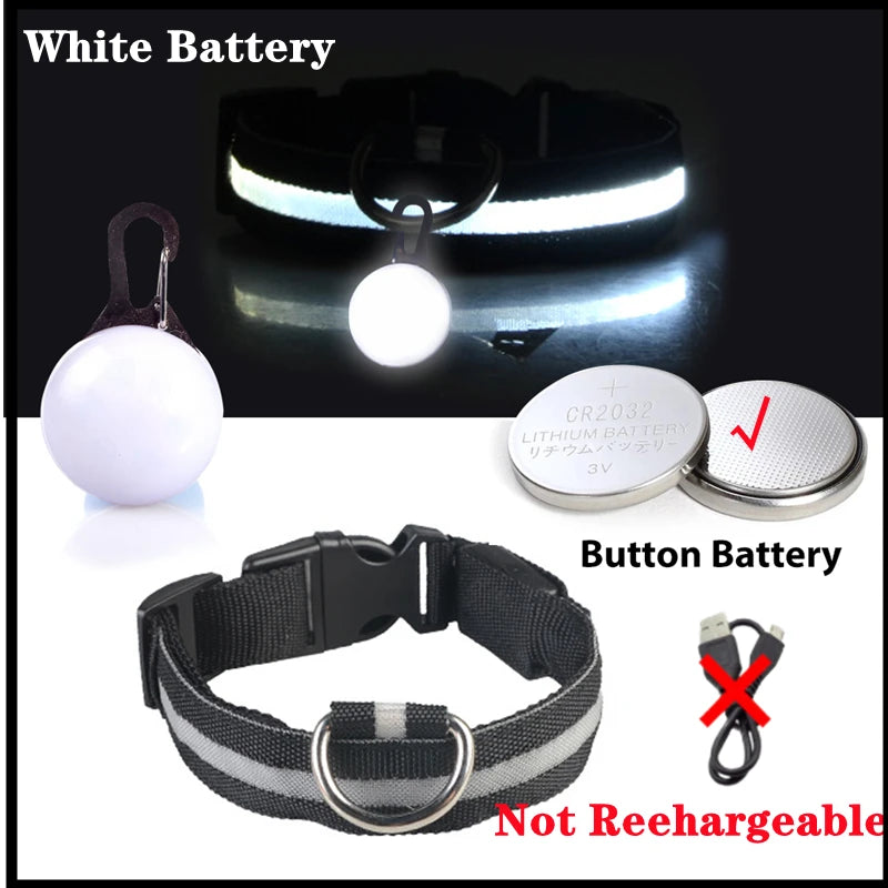 USB Charging Bright LED Dog Collar for Night Safety - Smarsty