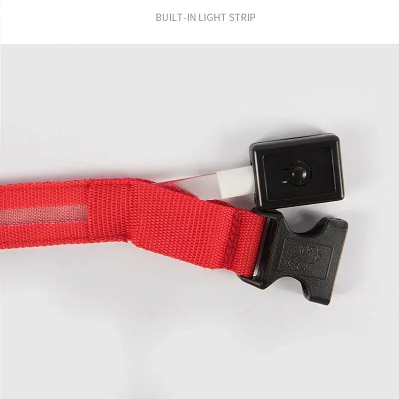 LED Glowing Dog Collar Adjustable Rechargeable Night Safety - Smarsty