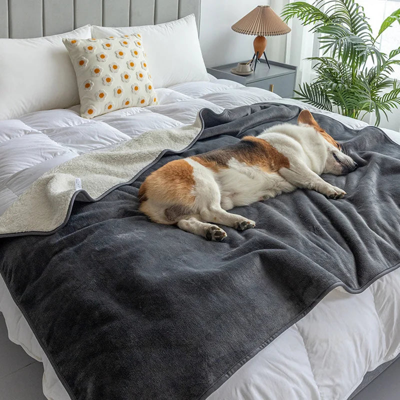 Premium Waterproof Pet Blanket for Dogs and Cats - Smarsty
