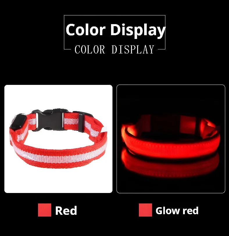 LED Nylon Dog Collar for Night Safety and Visibility - Smarsty
