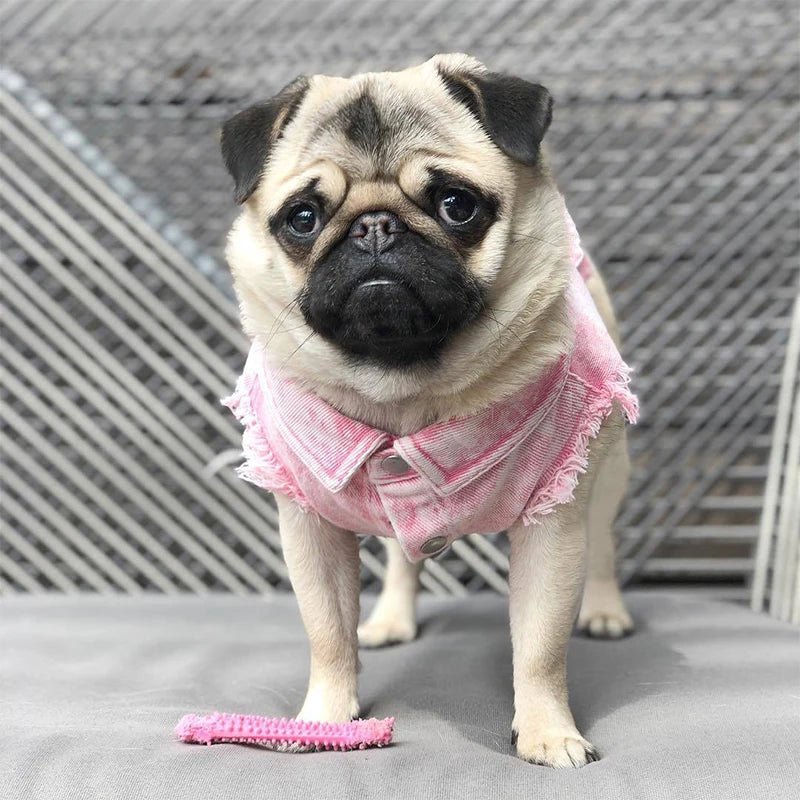 Denim Dog Jacket with Stylish Holes for All Seasons - Smarsty