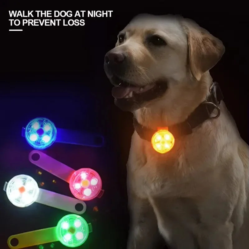 Weatherproof LED Dog Collar with USB Rechargeable Safety Light - Smarsty