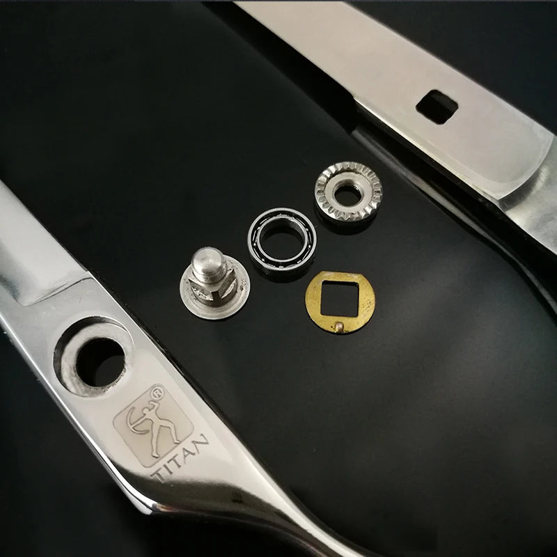 Titan Professional Hair Scissors with Japan 440C Steel - Smarsty