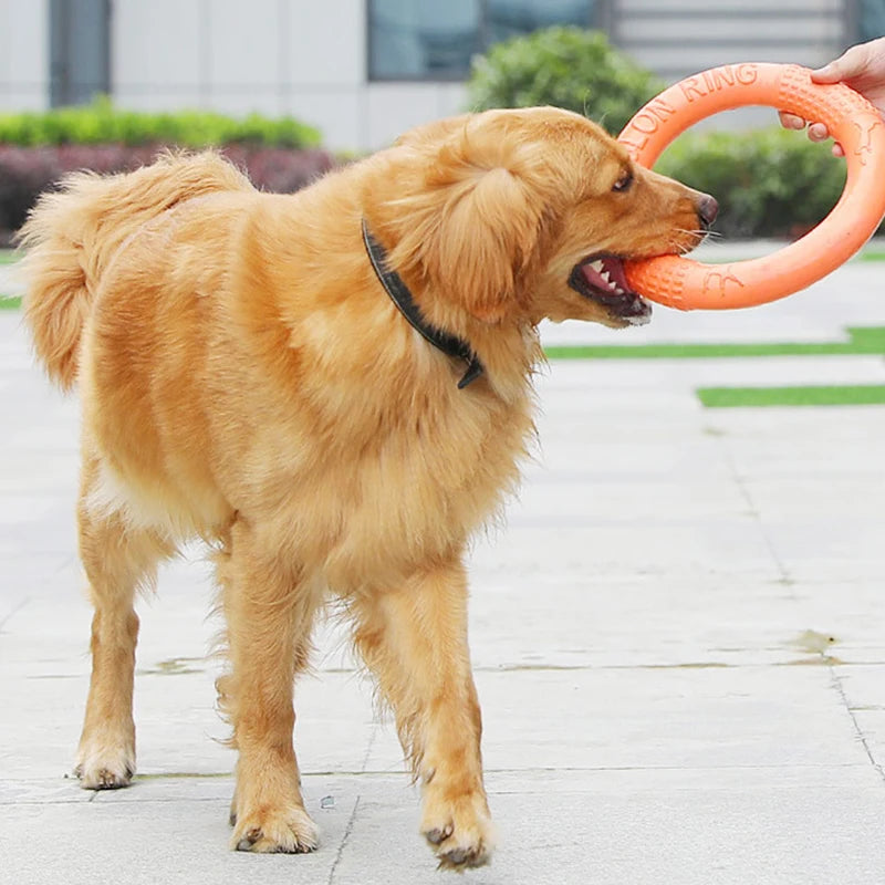 Interactive Dog Flying Disk Toy for Training - Smarsty
