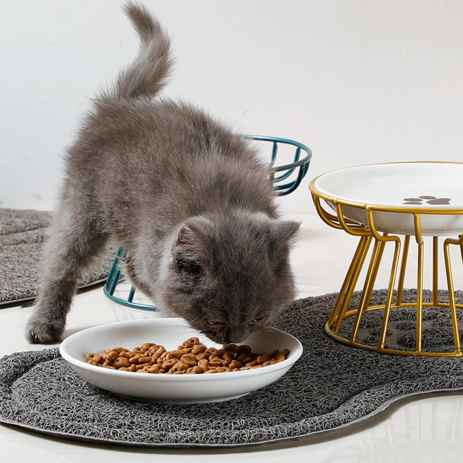 Ceramic Cat Food Bowl with Whisker-Friendly Design - Smarsty
