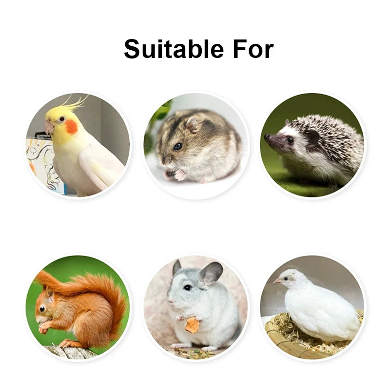 Detachable Plastic Bird Feeding Bowl with Convenient Hanging Design - Smarsty