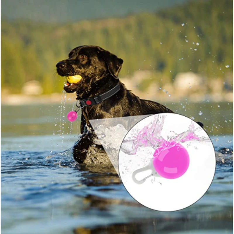USB Charging Bright LED Dog Collar for Night Safety - Smarsty