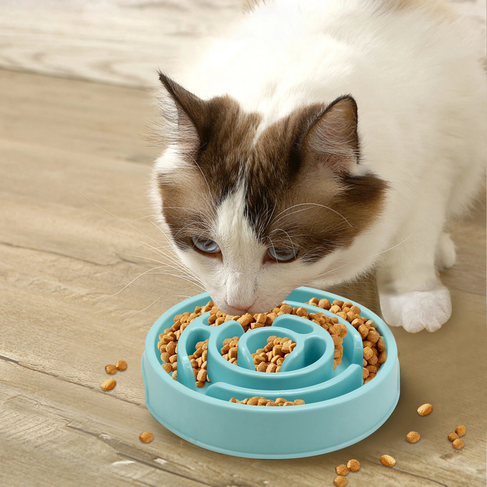 Pet Dog Slow Feeder Bowl Anti-Gulping Design for Healthy Eating - Smarsty