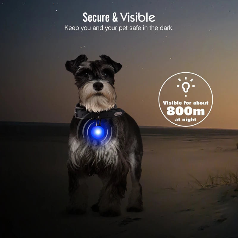 USB Charging Bright LED Dog Collar for Night Safety - Smarsty