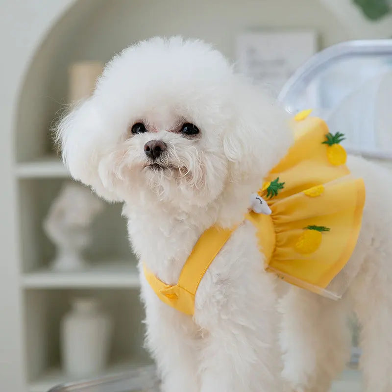 Cute Summer Dog Princess Dress with Bow Lace - Smarsty