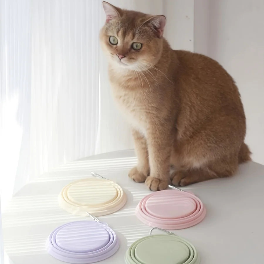 Portable Silicone Dog Travel Bowl for Outdoor Feeding - Smarsty