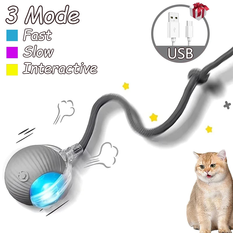 Rechargeable Cat Interactive Rolling Ball Toy Set - Smarsty