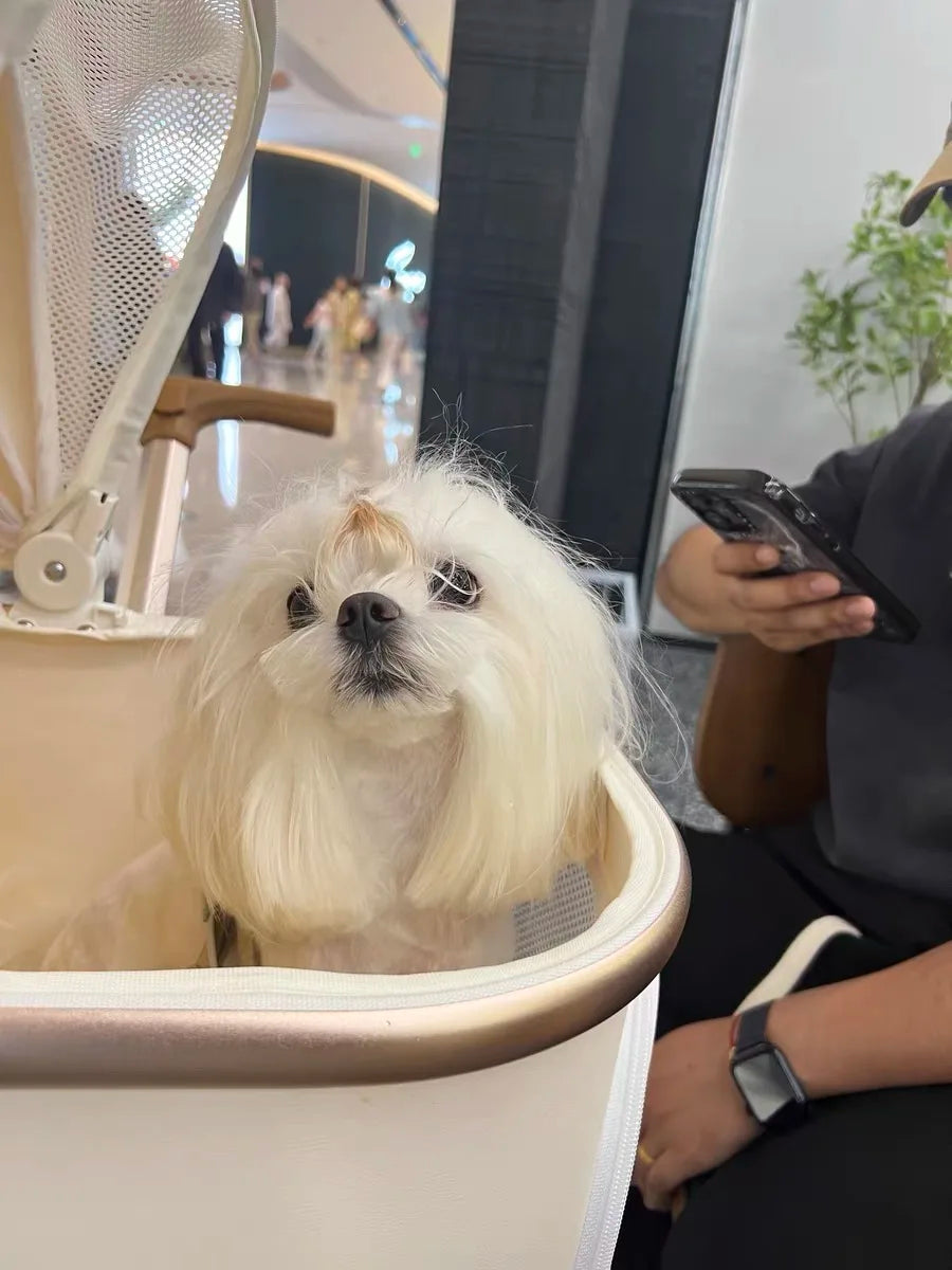 Foldable Dog and Cat Stroller for Easy Travel - Smarsty