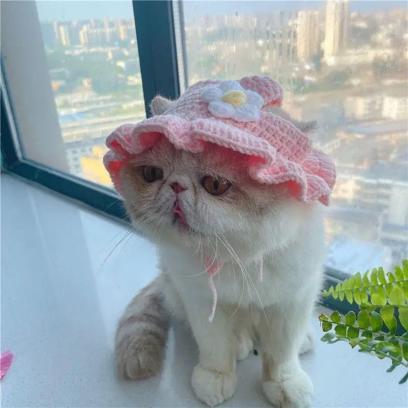 Cute Knitted Cat Hat for Warmth and Fun - Smarsty