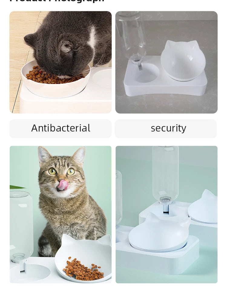 Tilted Pet Bowl for Healthy Eating and Comfort - Smarsty