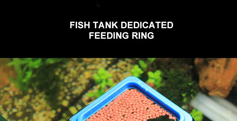 Portable Aquarium Fish Feeding Ring with Suction Cups - Smarsty