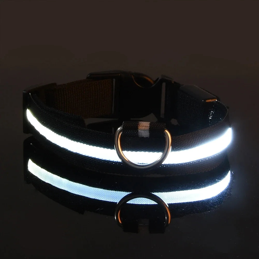 LED Nylon Dog Collar for Night Safety and Visibility - Smarsty