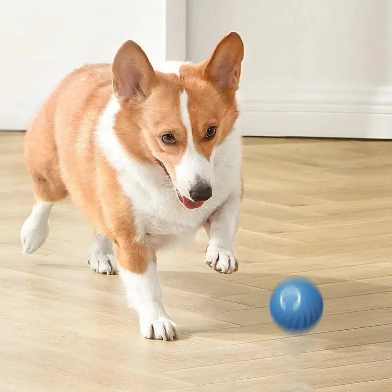 Interactive Smart Dog Toy Ball For Active Play - Smarsty