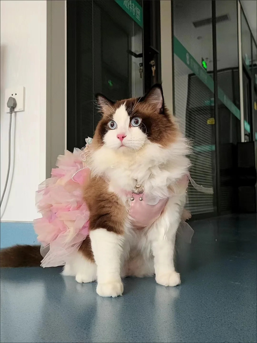 Princess Style Lace Skirt Dog Cat Dress - Smarsty