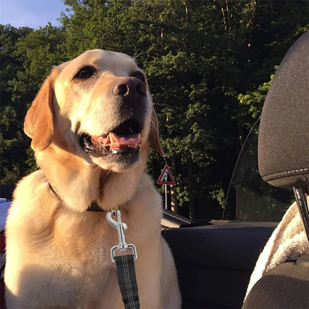 Adjustable Dog Car Seat Belt Harness with Reflective Cushioning - Smarsty