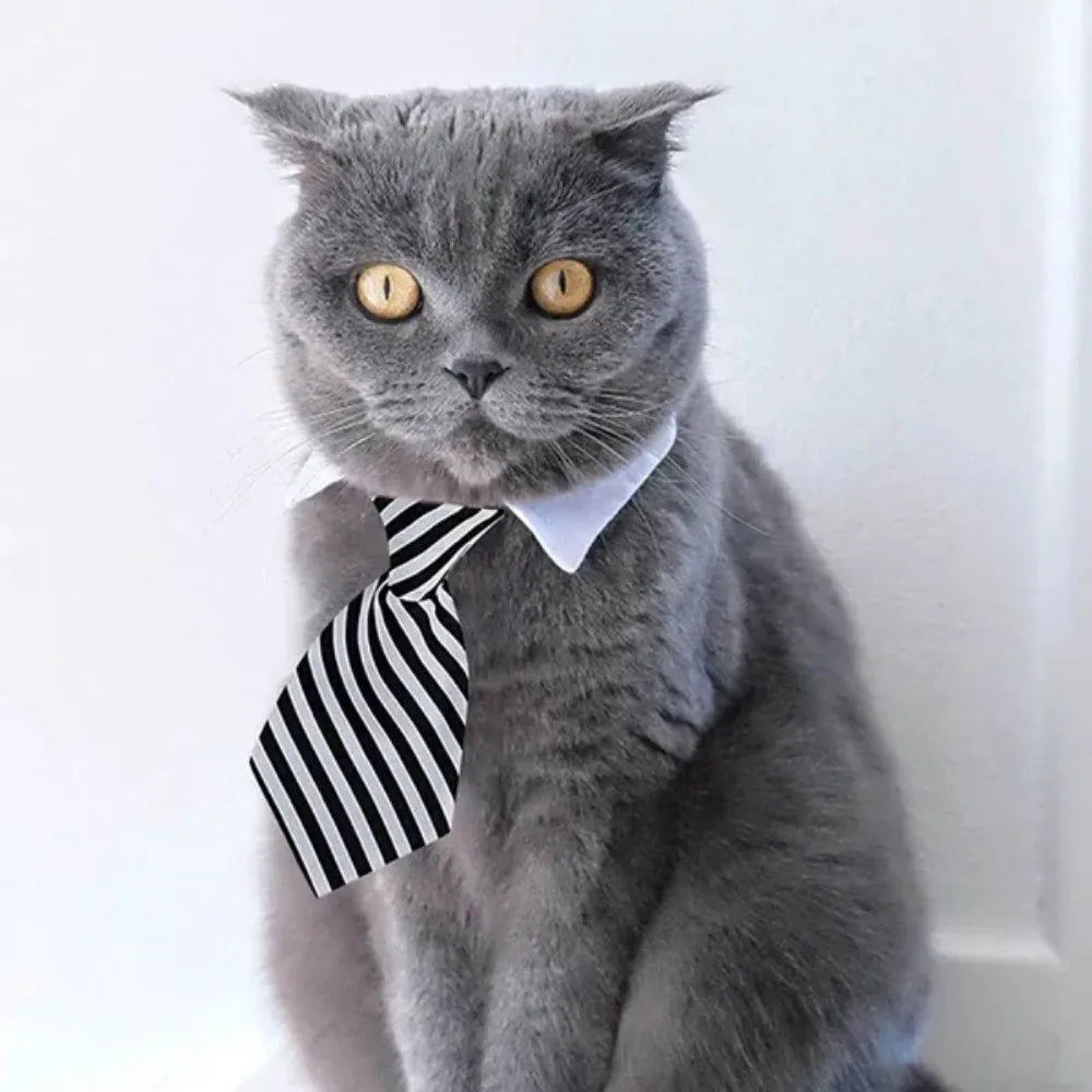 Adjustable Pet Bow Tie Necktie for Dogs and Cats - Smarsty