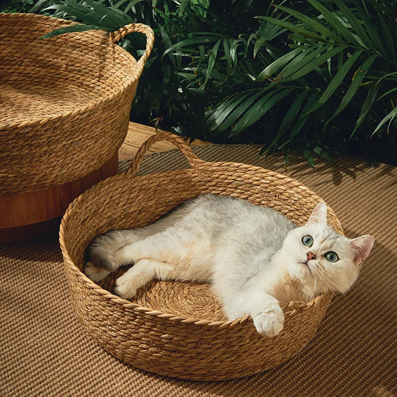 Rattan Weaving Cat Bed for Comfortable Summer Sleep - Smarsty