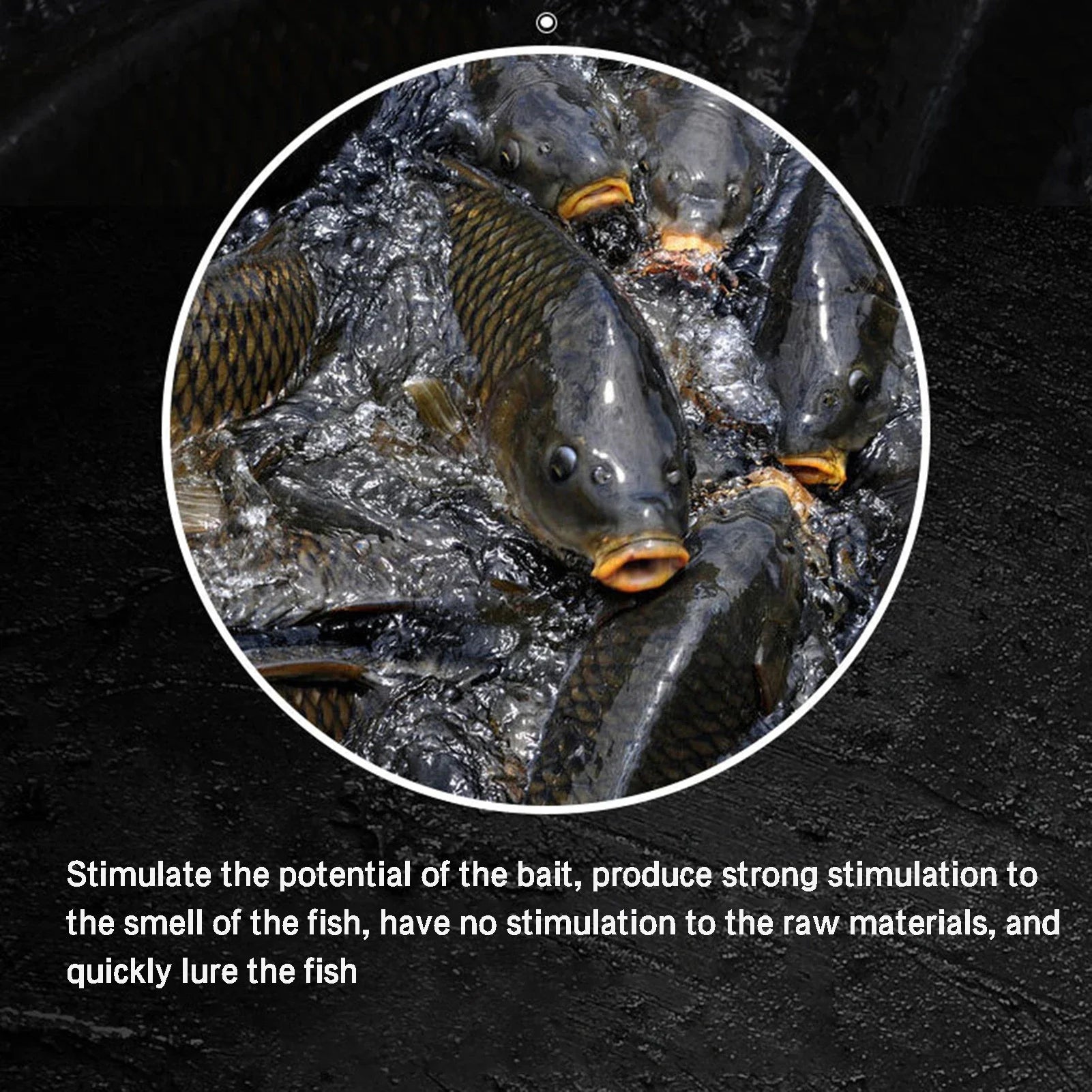 High Protein Krill Oil Fishing Attractant for Carp - Smarsty
