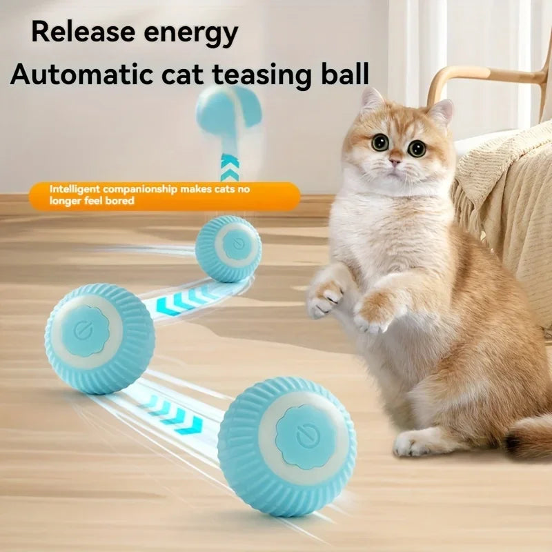Automatic Rolling Cat Ball Toy with Rechargeable Faux Tail - Smarsty