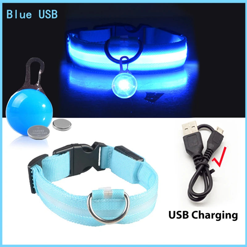 USB Charging Bright LED Dog Collar for Night Safety - Smarsty