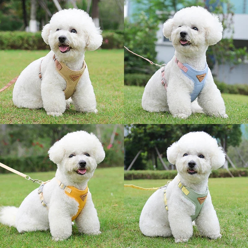 Puppy Harness Leash Set for Small Dogs - Smarsty