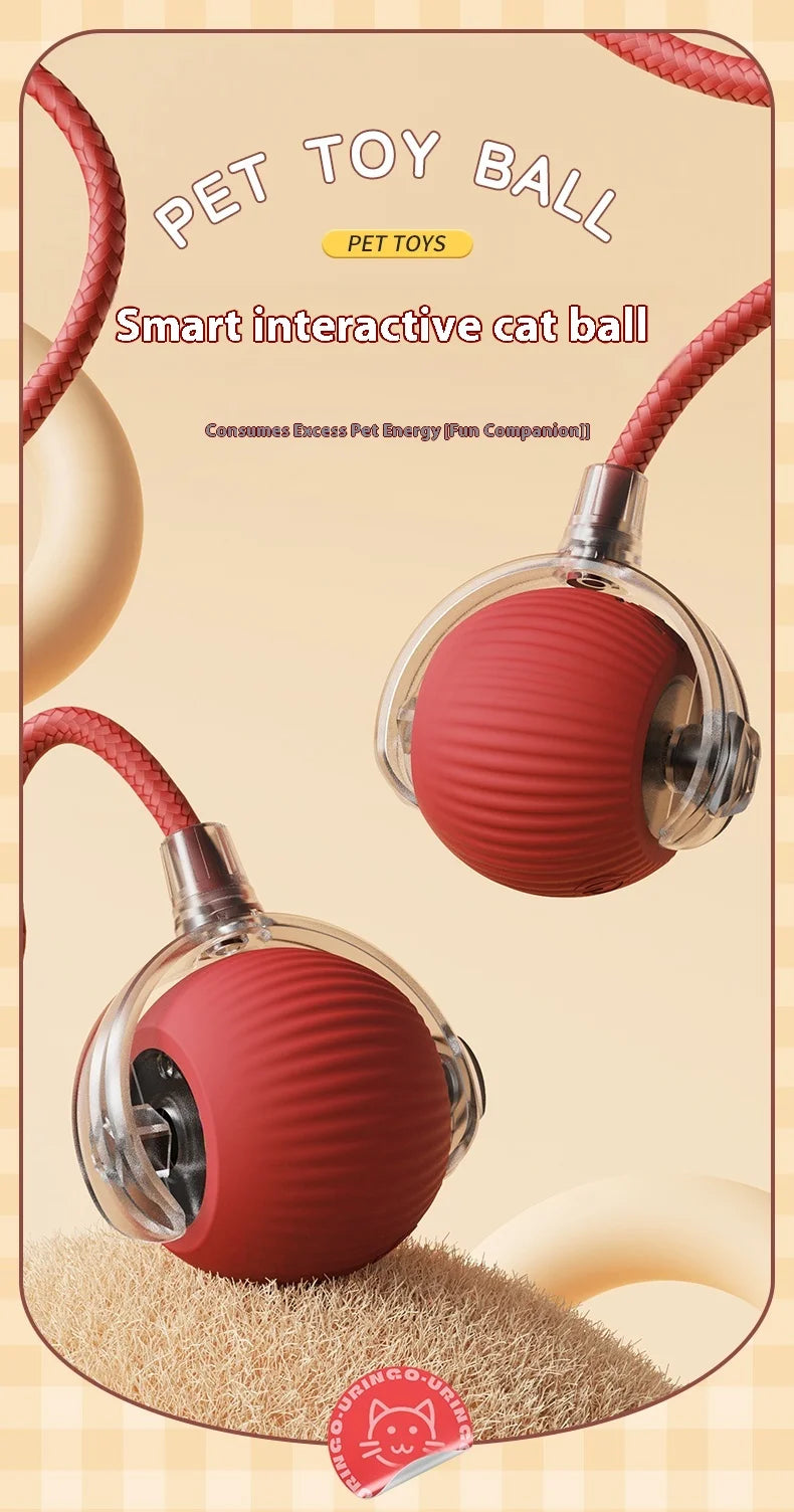 Rechargeable Cat Interactive Ball Toy With Faux Tail - Smarsty