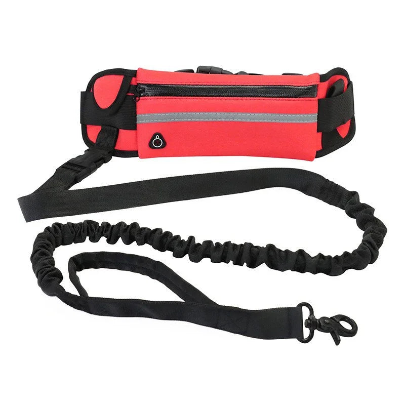 Hands Free Dog Leash with Reflective Elastic Belt - Smarsty