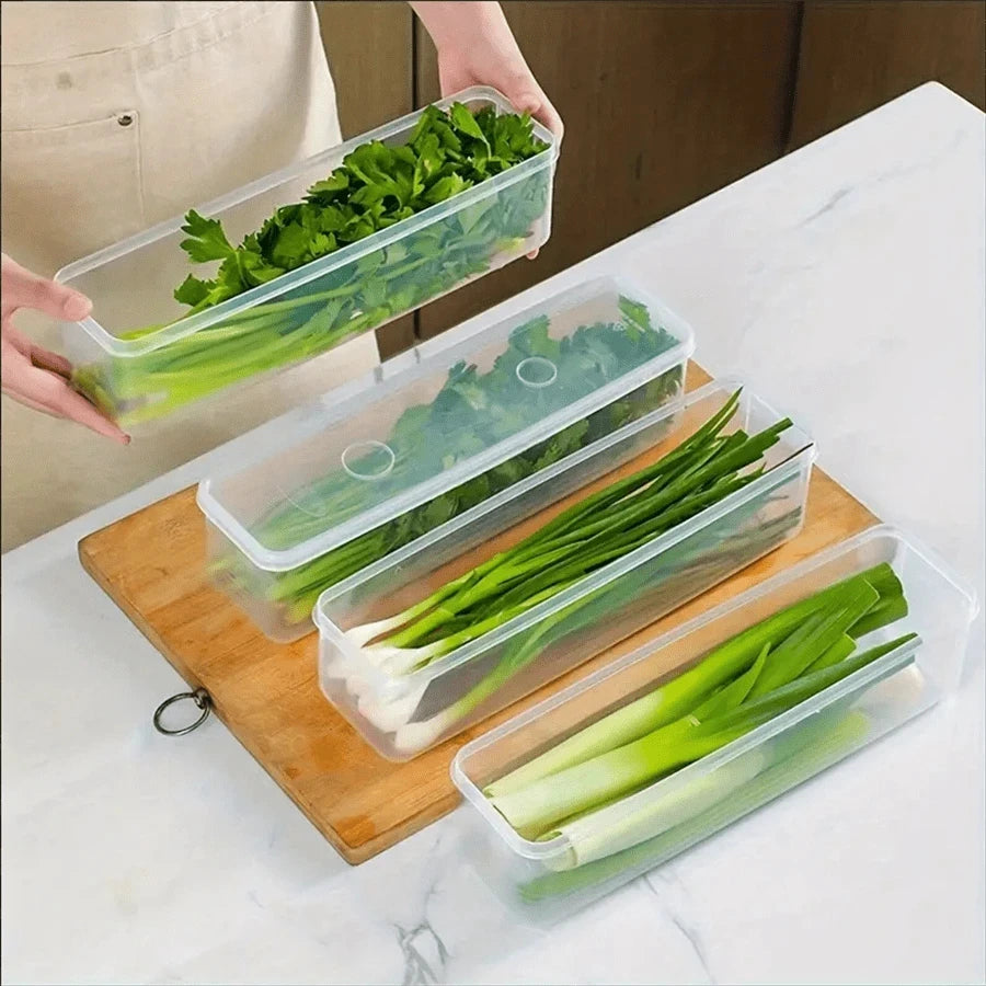 1/2/4Pcs Refrigerator Storage Boxes With Lid Plastic Fresh Keeping Box Kitchen Scallions Cilantro Eggs Noodles Sealed Container by Smarsty