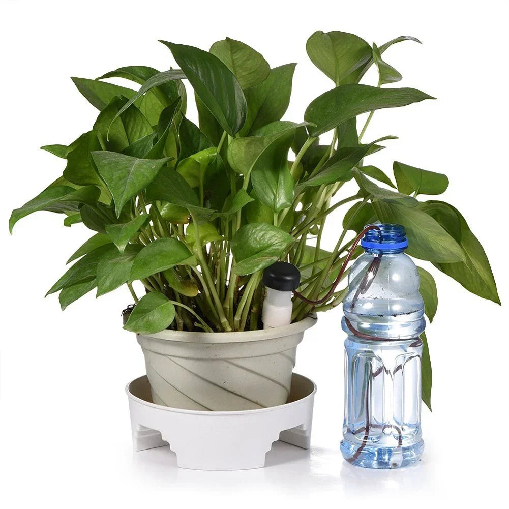 Self-Watering Drippers for Easy Indoor Plant Care - Smarsty