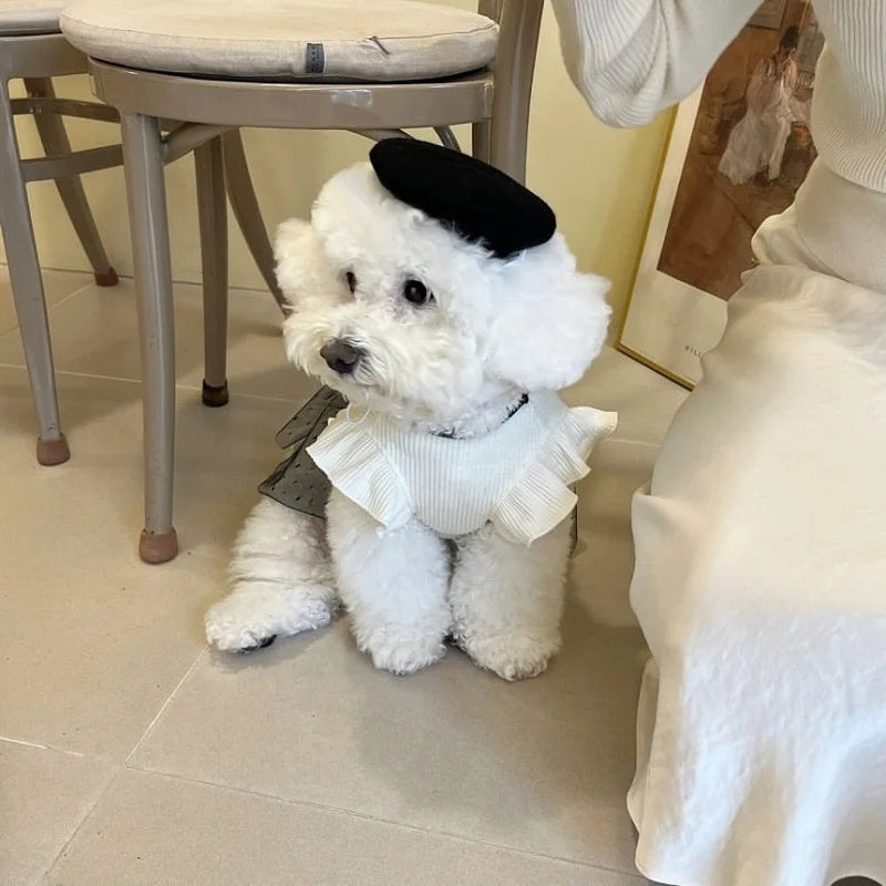 Luxury Summer Dog Dress with Bow and Lace - Smarsty