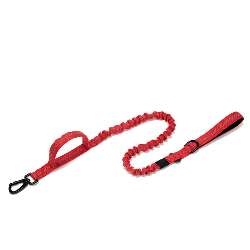 Durable Reflective Nylon Dog Collar and Leash Set - Smarsty
