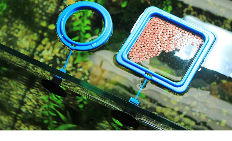 Portable Aquarium Fish Feeding Ring with Suction Cups - Smarsty