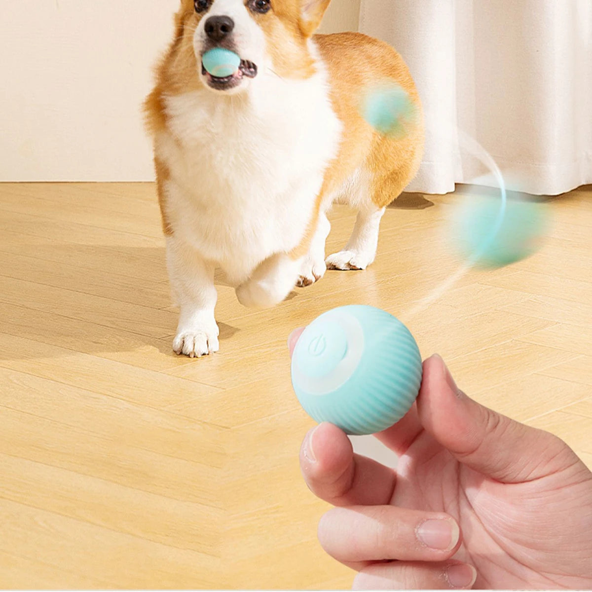 Interactive Rechargeable Cat Ball Toy for Engaging Play - Smarsty